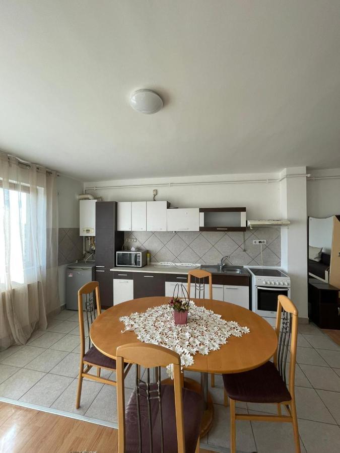 2Br Cosy Apart Satu Mare Eksteriør bilde